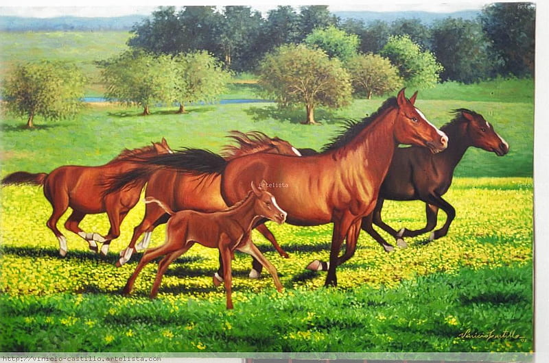 Caballos, by Vinicio Castillo, art, grass, painting vinicio castillo, horse, run, animal, HD wallpaper