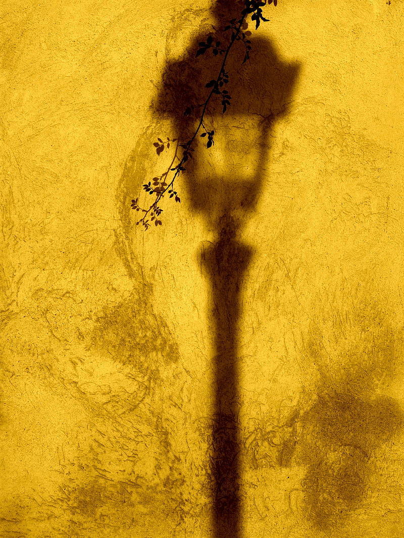 lantern, shadow, wall, branch, yellow, HD phone wallpaper