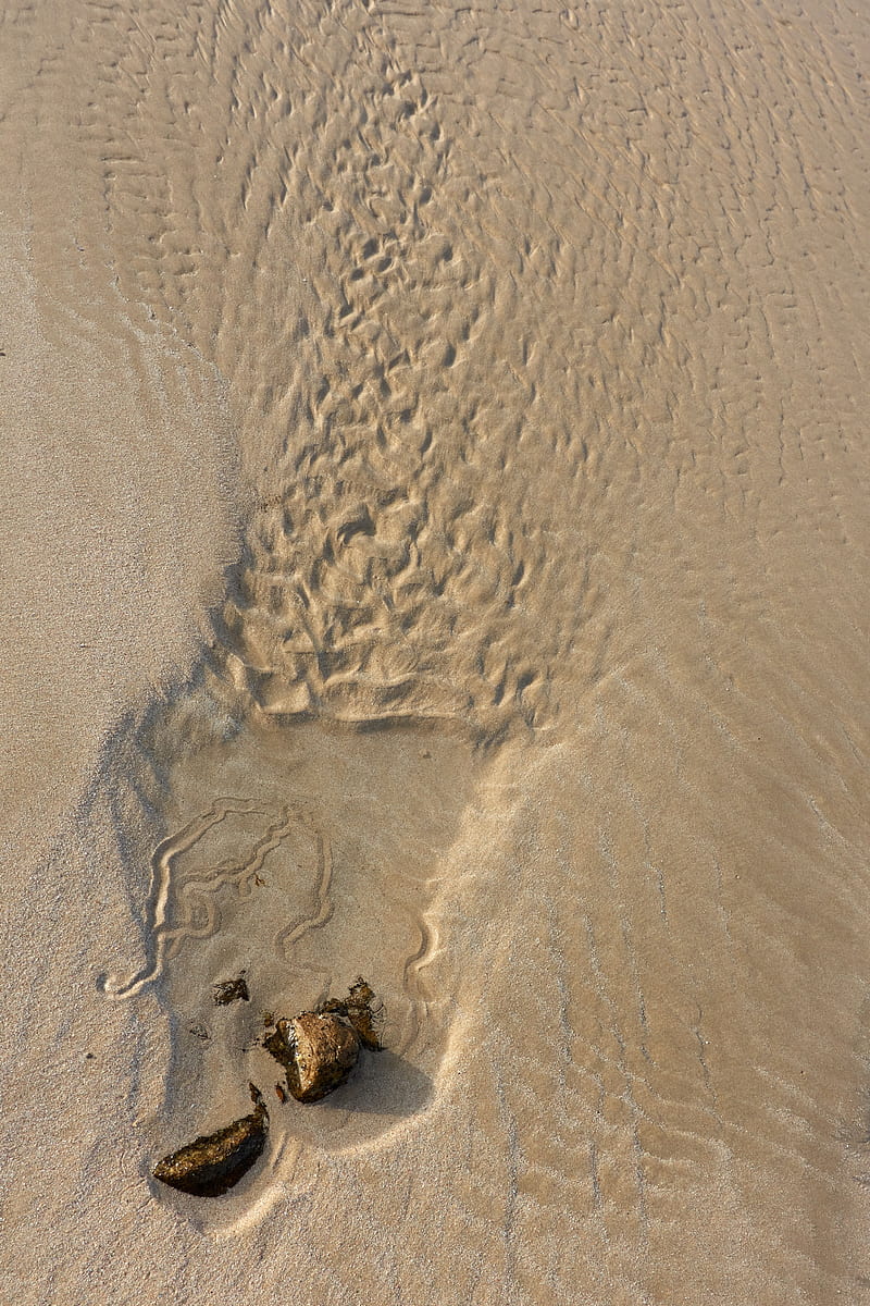 stone, sand, beach, HD phone wallpaper