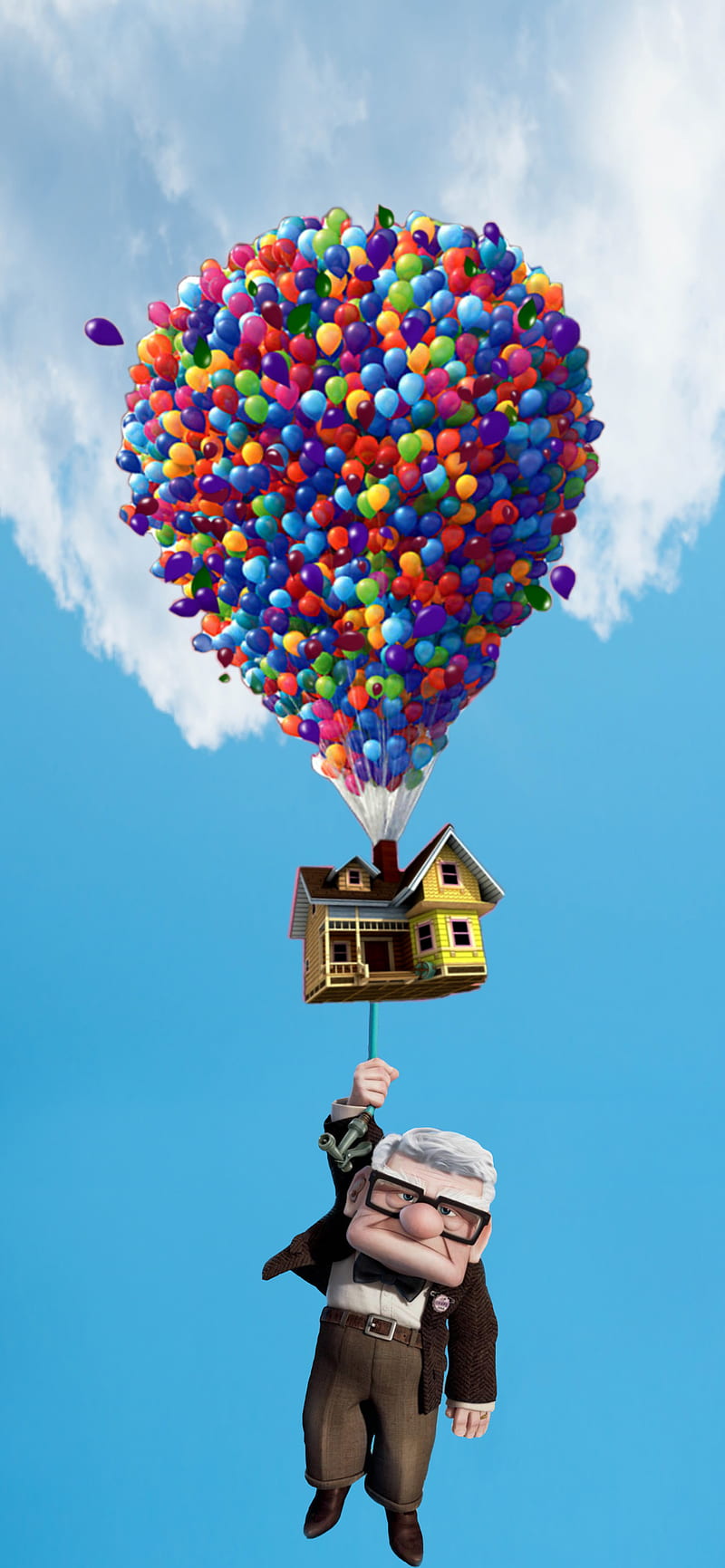 Up, balloons, cartoon, film, house, movie, wind, HD phone wallpaper | Peakpx