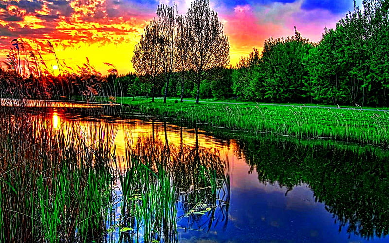 Sunset, grass, afternoon, sundown, nice, gold, multicolor, landscapes, creeks, wood, sunbeam, dawn, purple, violet, red, scenic, ambar, bonito, panoram, leaves, green, amber, scenery, blue, night, reflex, scene, stream, yellow, dusk, clouds, cenario, foliage, scenario, shadows, beauty, forests, evening, sunrise, morning, reflection, rivers, , cena, golden, black, trees, sky, water, cool, awesome, colorful, sunny, twilight, grasslands, sunsets, grove, mirror, pink, amazing, multi-coloured, magenta, colors, leaf, plants, colours, earth, HD wallpaper