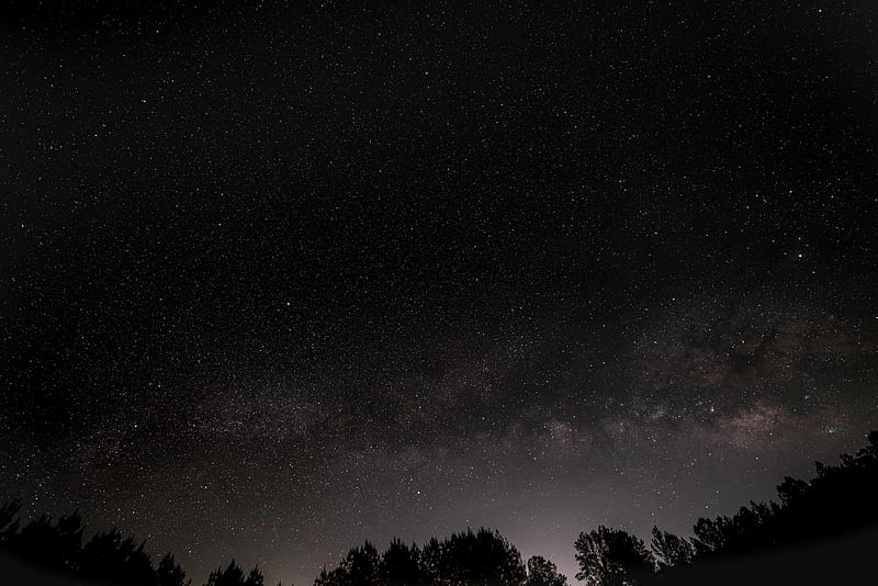 nebula, stars, starry sky, trees, night, HD wallpaper