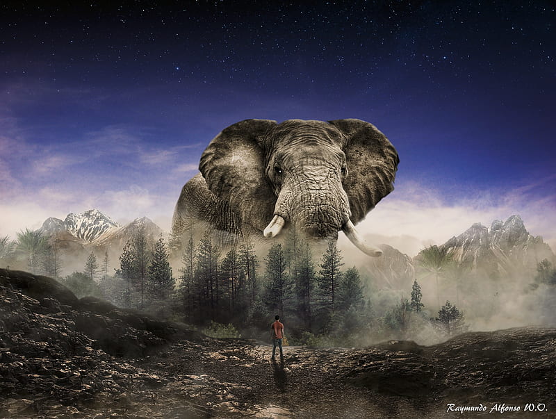 King monsters , elefantes, gigantes, hombre y naturaleza, landscape, storm, HD wallpaper