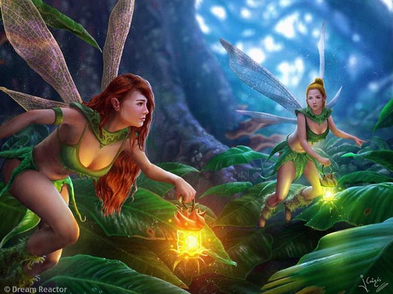 Fairy treasure hunt, forest, lantern, bonito, wing, leaves, green, hunt, fairies, treasure, HD wallpaper