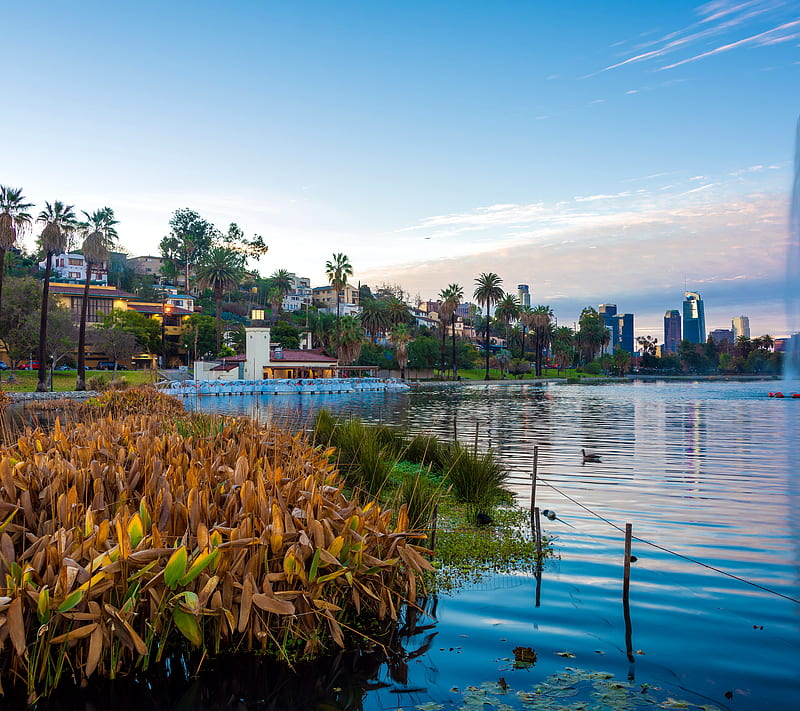 Echo Park Lake, awesome, beauteous, colors, landscape, nature, scenery ...