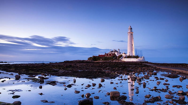 st marys lighthouse reflected in tidal pool, dusk, reflection, pool, lighthouse, HD wallpaper