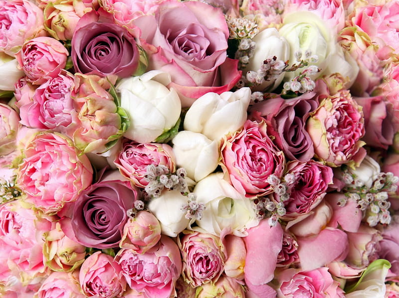 * Flowers *, bouquet, flowers, soft, petals, roses, HD wallpaper | Peakpx