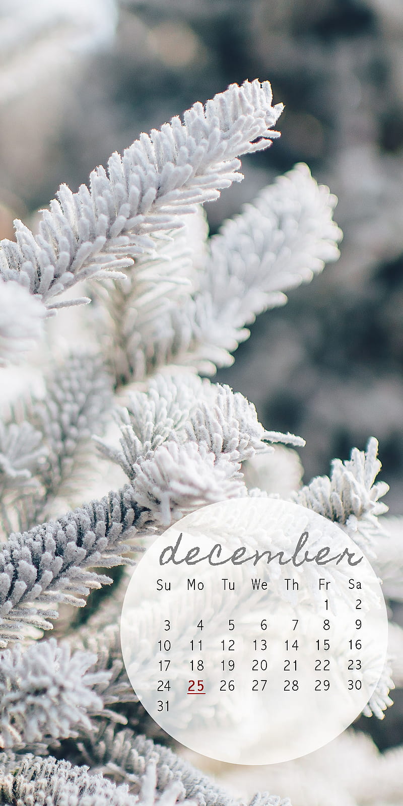 December White Cal, calendar, christmas, HD phone wallpaper