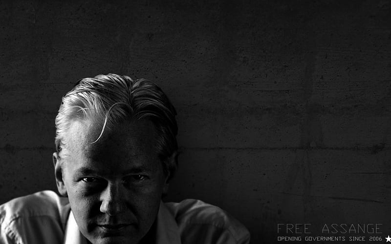 Assange, omdave, matu, hrdave, amit, HD wallpaper