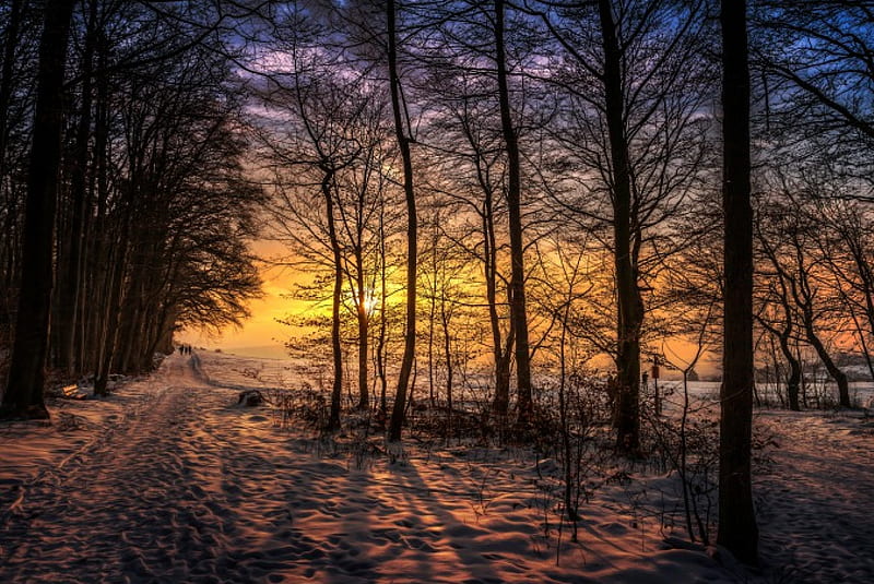 Winter Sunset, forest, woods, sunset, winter time, trees, sky, clouds, winter, snow, path, nature, walk, HD wallpaper