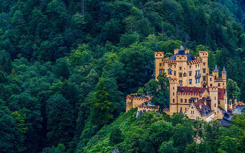 Hohenschwangau Castle, forest, german landmarks, Bavaria, Germany, Europe, HD wallpaper
