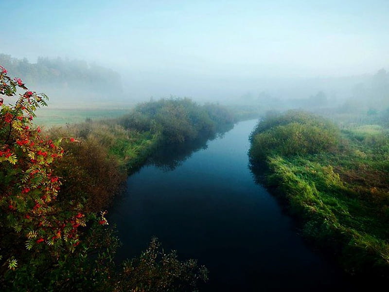 Mist Morning, autumn, mountains, ash, nature, river, landscape, mist, HD wallpaper