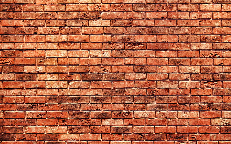 brown brickwall, close-up, brown bricks, brick wall, bricks, wall, colorful bricks, identical bricks, bricks textures, bricks background, brown stone background, HD wallpaper