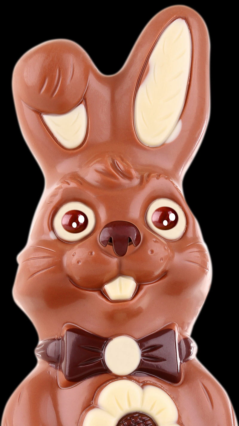 Bunny Boogers Milk Cho, Nerds, Skittles, animated, anime, bunny girl, bunny  rabbit, HD phone wallpaper | Peakpx