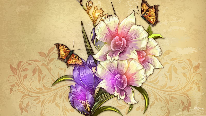 Summer Vintage, spring, butterflies, lights, floral, bouquet, summer,  flowers, HD wallpaper | Peakpx