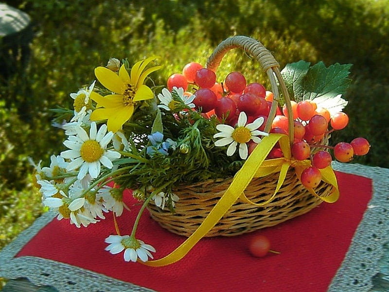 Basket, outside, cranberry, table, wild flowers, fruits, colors, abstract, still life, graphy, summer, flowers, garden, nature, daisy, natural, HD wallpaper