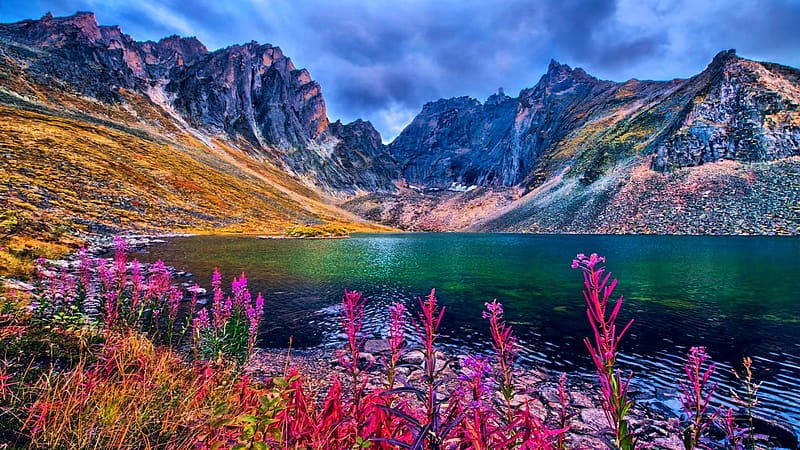 Mountain Lake, Northern Yukon Territory, Canada, flowers, landscape, sky, rocks, clouds, HD wallpaper
