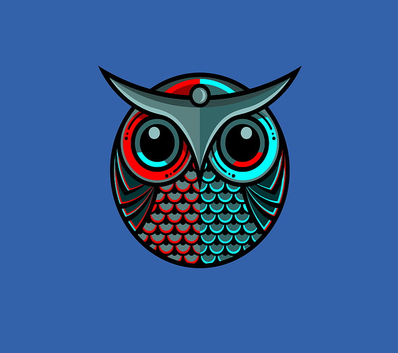 owl, love, HD wallpaper