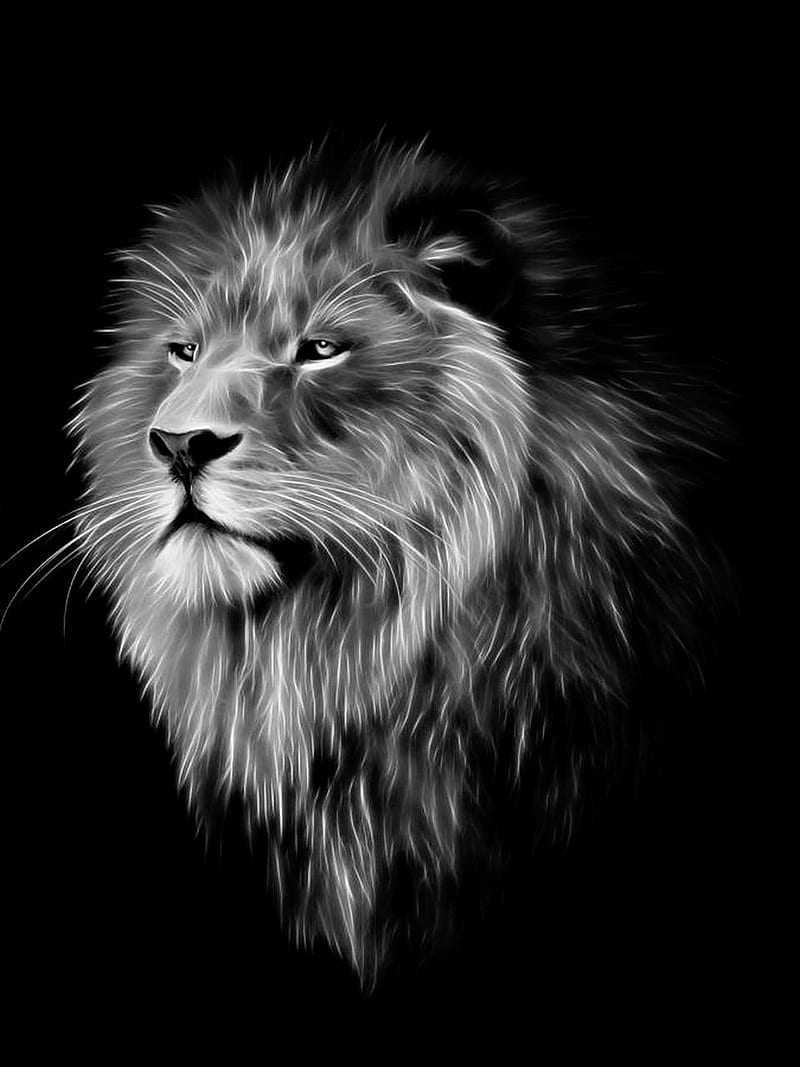 Lion, 3d, background, black, digital, lions, HD phone wallpaper | Peakpx