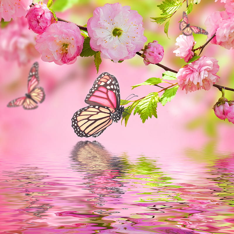 Flor de cerezo, arte, hermosa, mariposas, floral, agua, Fondo de pantalla  de teléfono HD | Peakpx