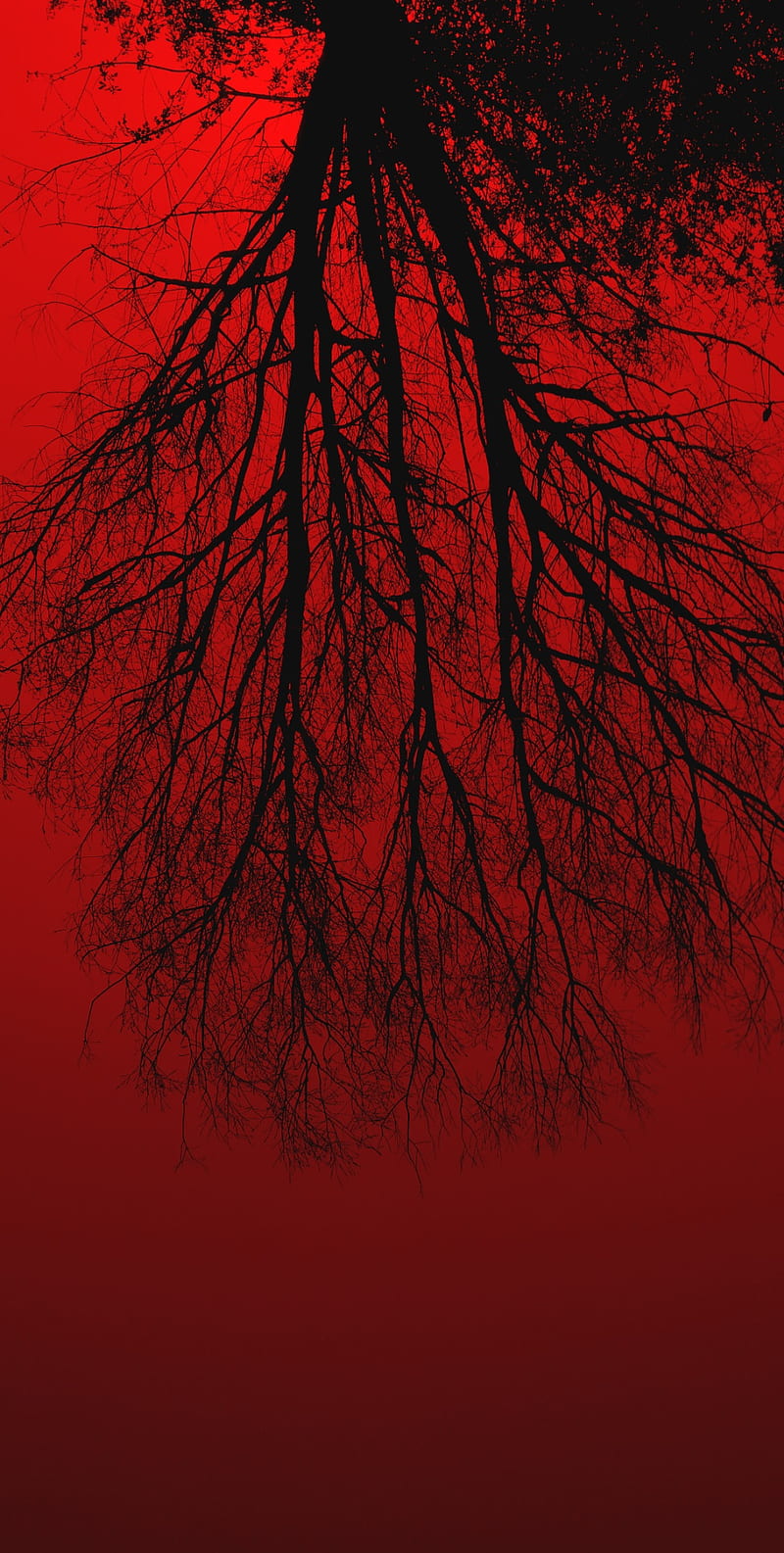 red tree, huawei, iphone, night, oppo, realme, samsung, HD phone wallpaper