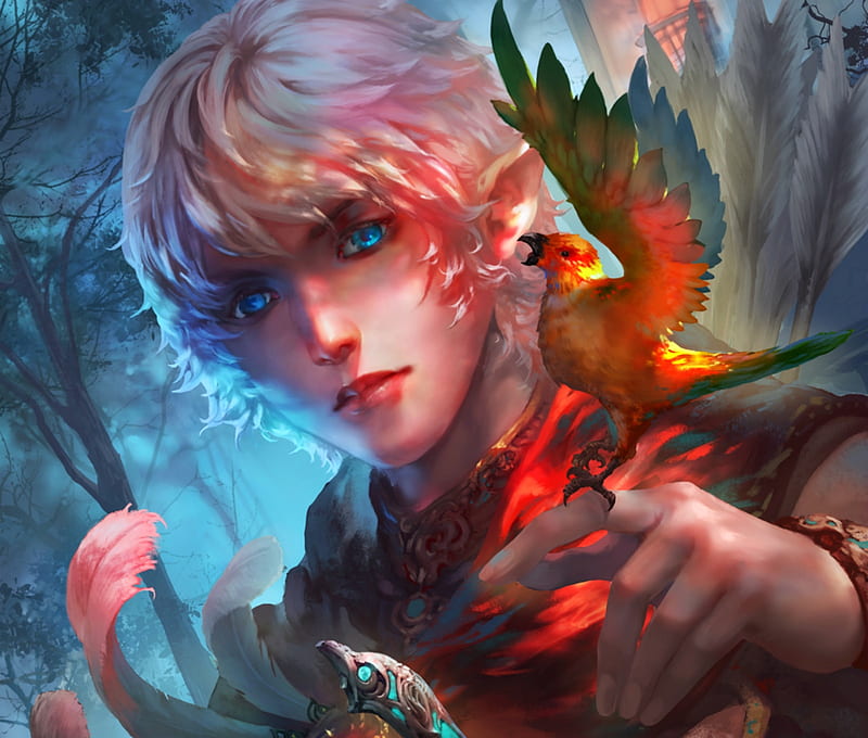 Silver moon ranger, red, art, luminos, man, parrot, fantasy, bird, antilous, face, pink, blue, HD wallpaper