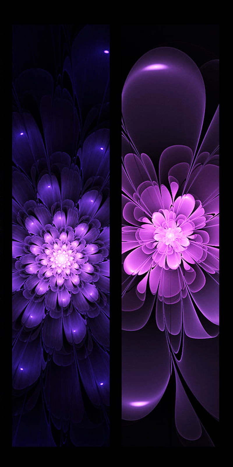 Abstract, flower, fractal, purple, HD phone wallpaper