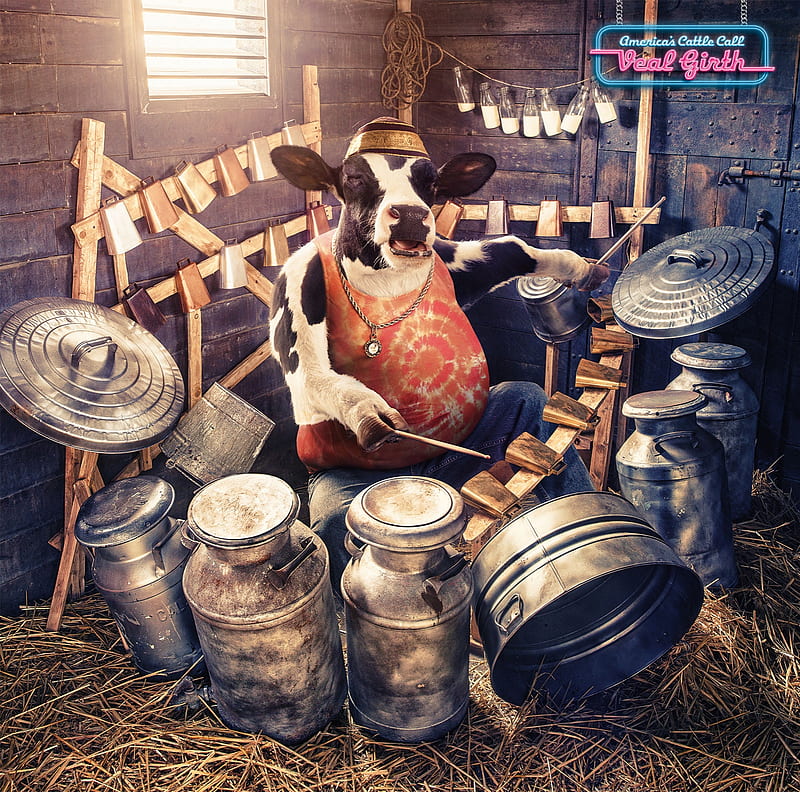 Drummer cow, cow, andy mahr, drummer, creative, animal, fantasy, add, vaca, commercial, HD wallpaper