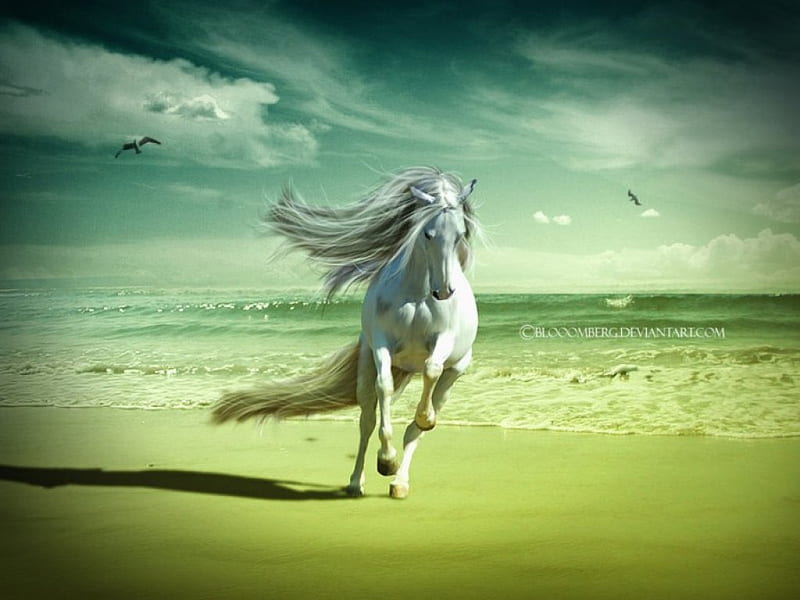 Sea Breath, fantasy, gallop, horse, animal, sea, HD wallpaper