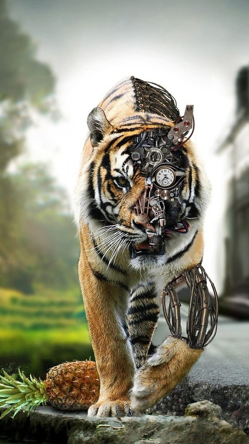 Tiger Digital Art, digital art, animation, HD phone wallpaper | Peakpx