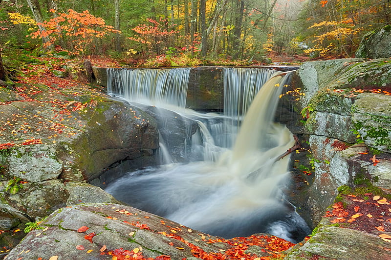 Connecticut forest autumn stone stream leaves r . . 117130, HD wallpaper