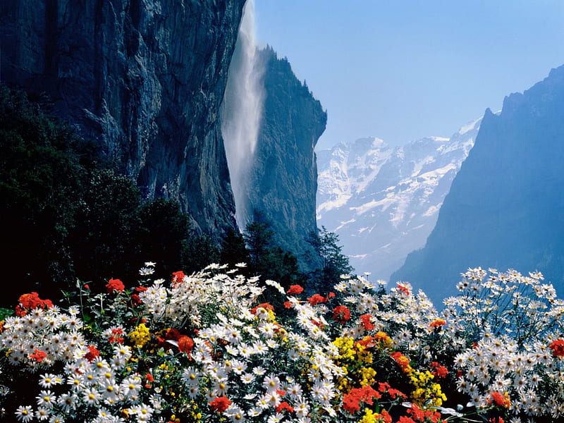 Staubbach waterfalls Lauterbrunnen,Switzerland, famous, falls, landmark, HD wallpaper