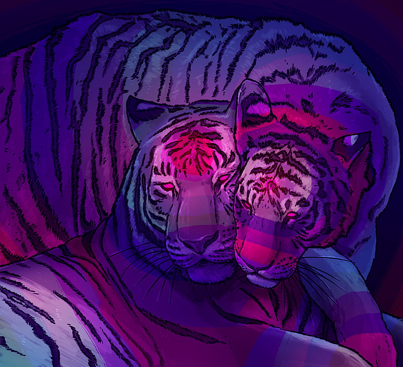 tigers, couple, predators, art, purple, HD wallpaper