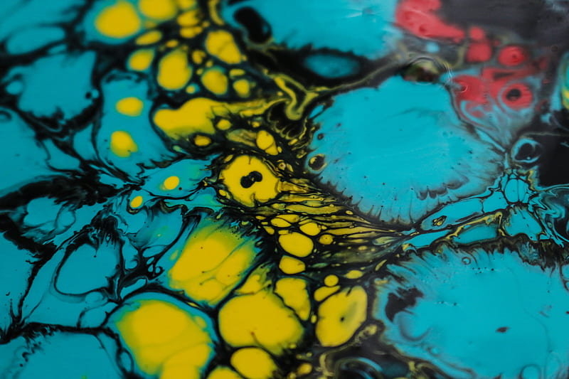 paints, stains, spots, fluid art, acrylic, abstraction, HD wallpaper