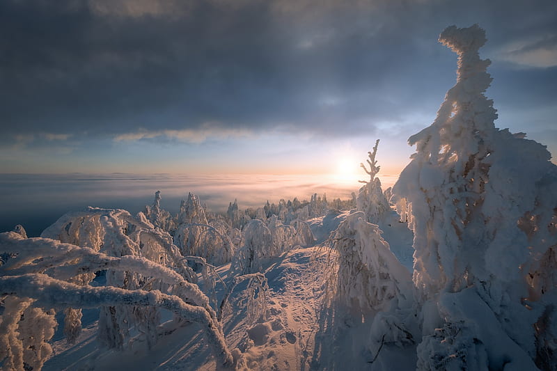Earth, Winter, Horizon, Landscape, Nature, Snow, Sun, Sunrise, HD wallpaper