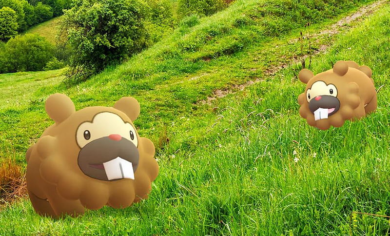 Pokémon Company announces July 1 is Bidoof Day, unclear what that means - Polygon, HD wallpaper