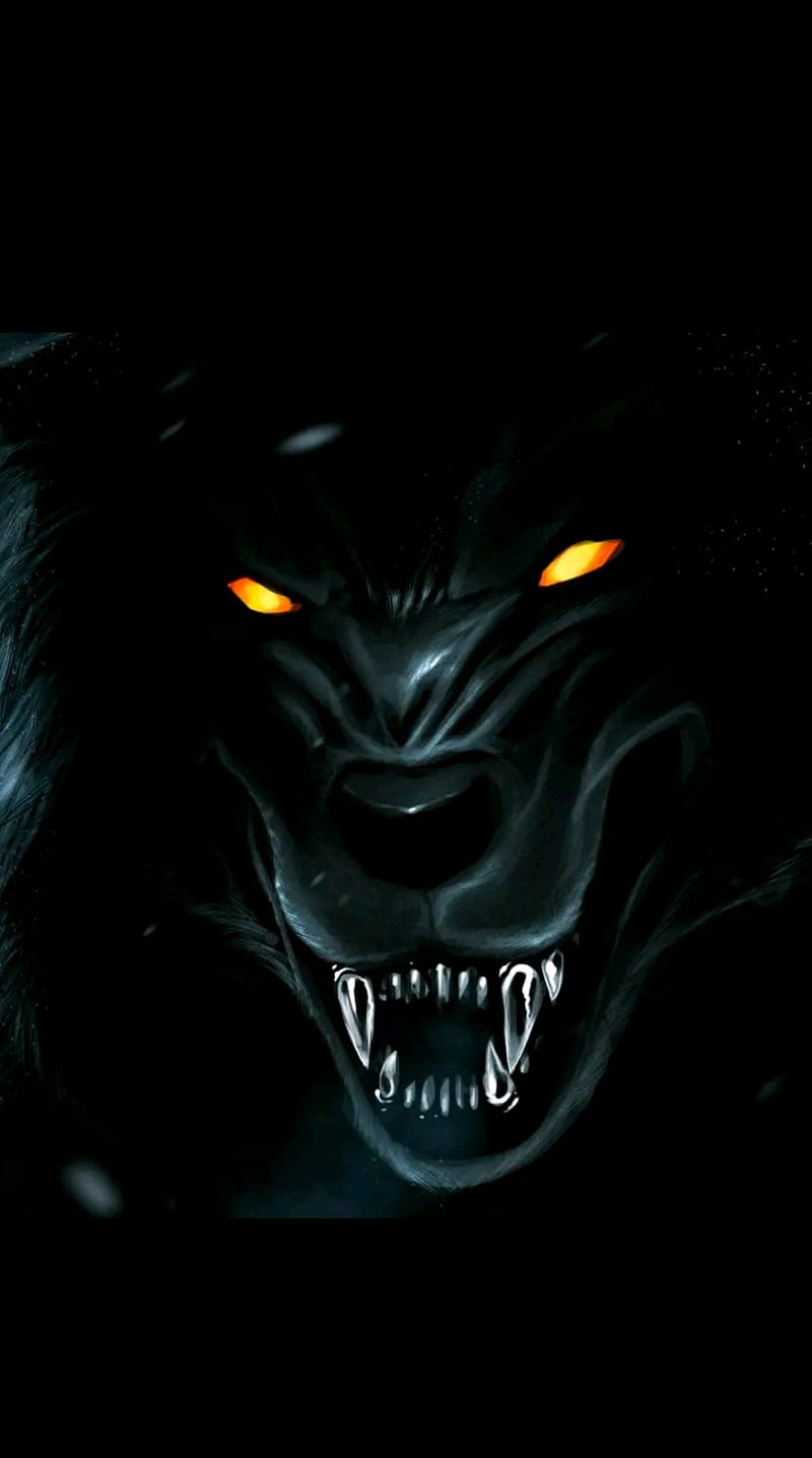 Black Wolf, spirit, wolf black, HD phone wallpaper