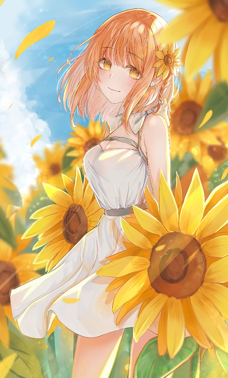 Girl, sunflowers, flowers, field, anime, HD phone wallpaper | Peakpx