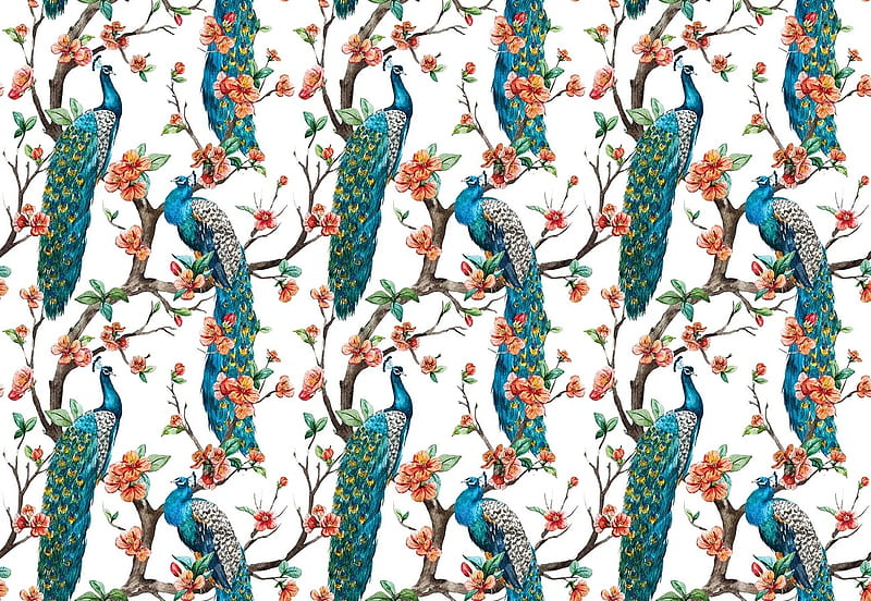 Texture, white, blue, pattern, red, frumusete, peacock, bird, green, paun, flower, paper, HD wallpaper