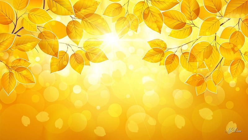 Aspen Gold, fall, autumn, sun, wind, apsen, tree, leaves, sunrise, sunshine, morning, HD wallpaper