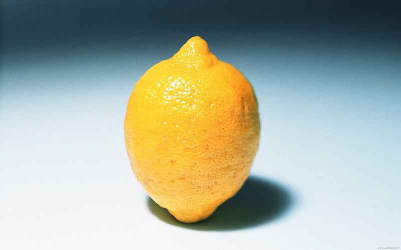 Fruit graphy Lemon, HD wallpaper