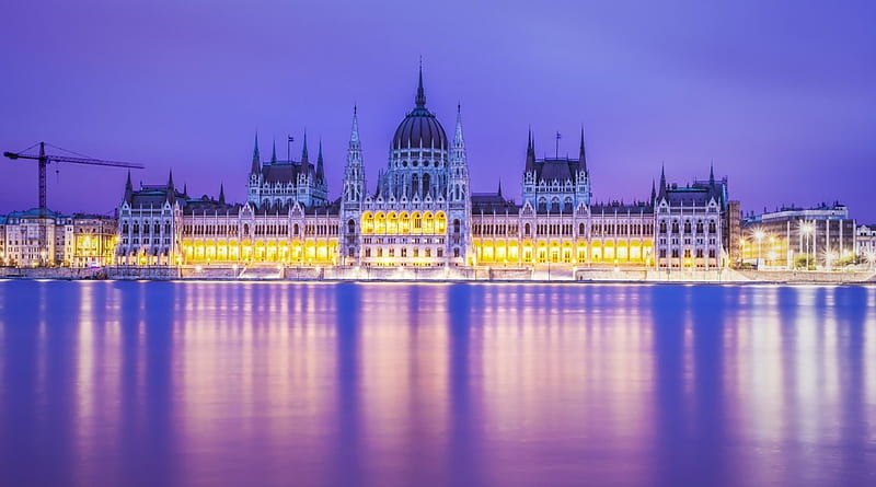 budapest parliament building in magents, building, magenta, river, lights, night, government, HD wallpaper