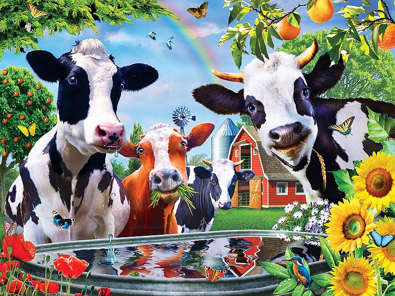 Moo Love, white, cows, horns, sun, black, colors, bath, happy, bird, love, flowers, reflections, HD wallpaper