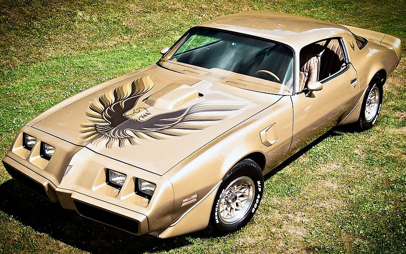 Pontiac Firebird, antique, car, firebird, classic, pontiac, HD wallpaper