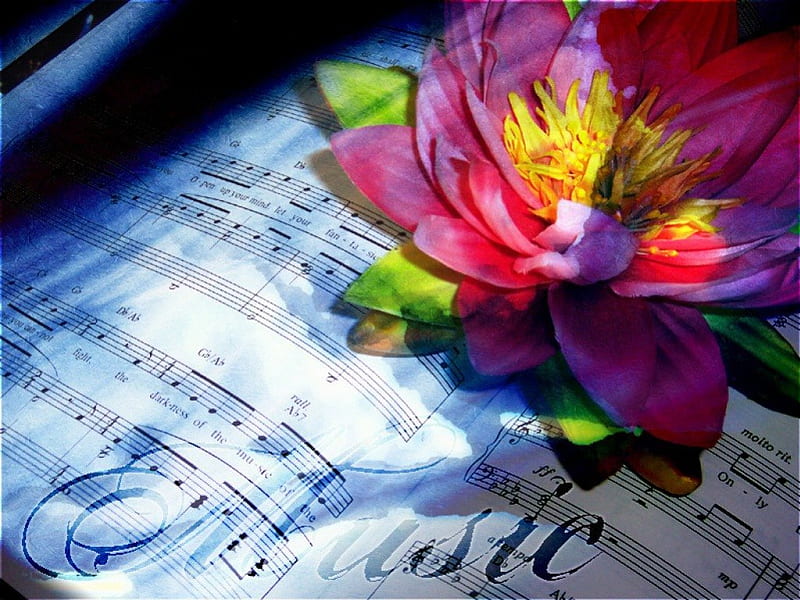 Music and flower, flower, lotus, pink, music, HD wallpaper | Peakpx