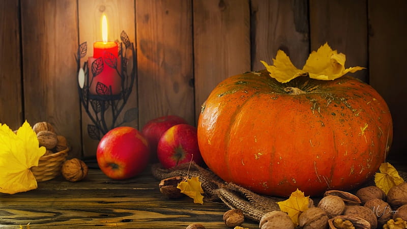 Walnuts and Pumpkin Light, walnuts, candle, fall, autumn, apples, flame, pumpkin, lkeaves, light, HD wallpaper