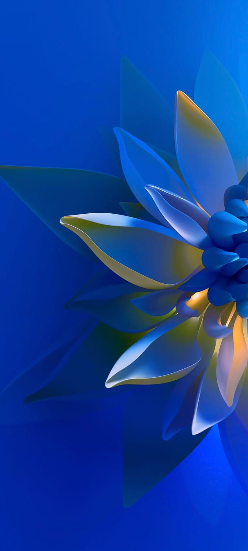 blue lotus flower  KDE Store