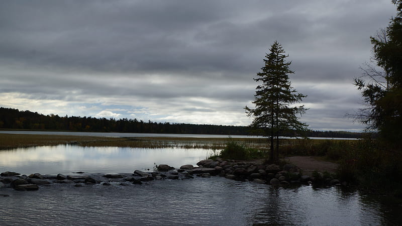 spruce, lake, stones, tree, horizon, HD wallpaper