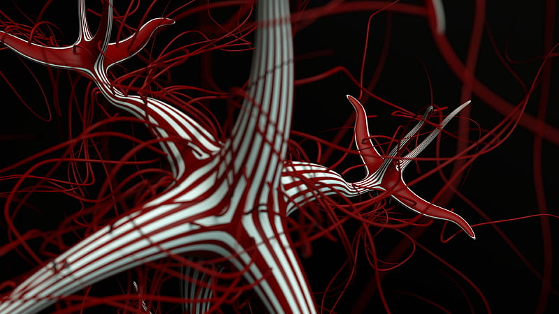 network, structure, threads, tangled, 3d, HD wallpaper