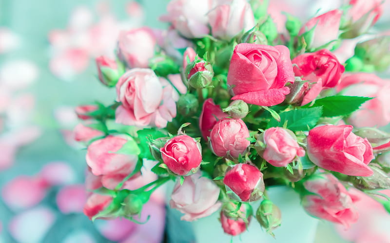 bouquet of roses, close-up, pink roses, beautiful flowers, buds, roses, HD wallpaper